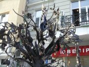 "Дерево щастя" зачищатимуть від китайських колодок