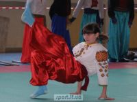 Чемпіонат та Кубок області з рукопашу гопак