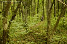 «Станіслав-кантрі 2012»