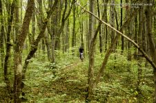 «Станіслав-кантрі 2012»