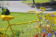 Велопарад у сукнях