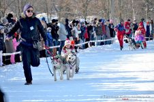 Перегони на собачих упряжках 