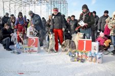 Перегони на собачих упряжках 