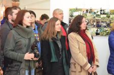 Виставка Тетяни Єфтимовської