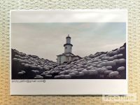 Виставка «Green art»