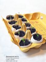 Виставка «Green art»